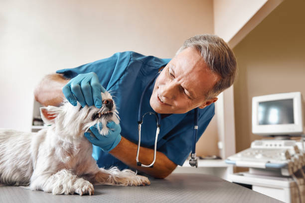 Best Emergency Tooth Extraction in Union Springs, AL
